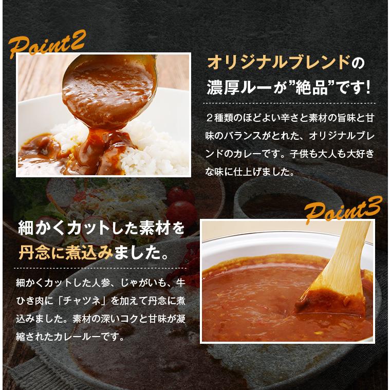 ビーフカレー 200g×4袋 甘口 辛口 選べる オリジナルブレンド 送料無料 ポイント消化 カレー レトルト 食品 詰め合わせ 業務用 ご飯のお供 ご当地 [メール便]