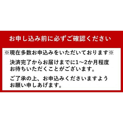 ふるさと納税 徳島県 鳴門市 すだち牛 黒毛和牛 ヒレ 500g 国産 ステーキ 牛肉 冷凍 お肉 肉 ブランド 和牛 カット 小分け 人気