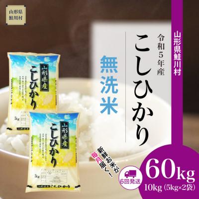 ふるさと納税 鮭川村 令和5年産コシヒカリ60kg定期便(10kg×6回)