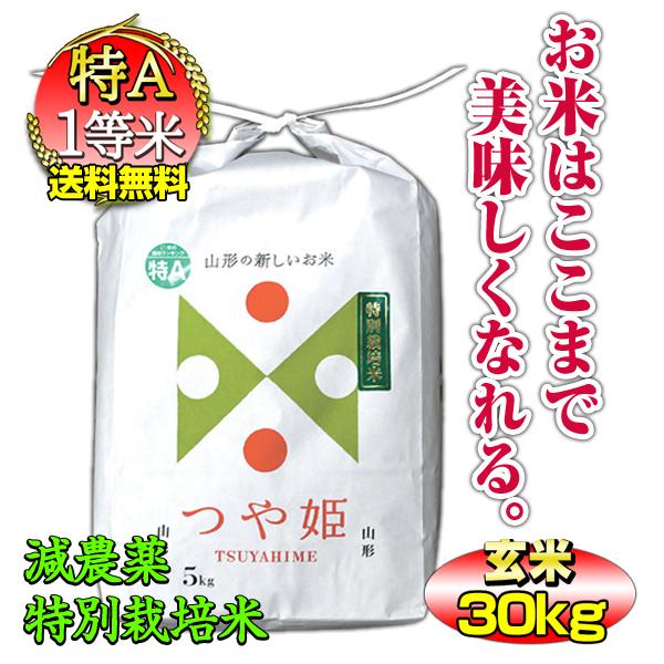 新米 お米 つや姫  30kg 玄米 山形県 庄内産 一等米 特別栽培米 送料無料 令和5年産