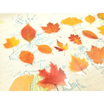 黃色小花手帳貼紙 植物花藝貼紙 文藝貼紙 diy筆記本貼紙