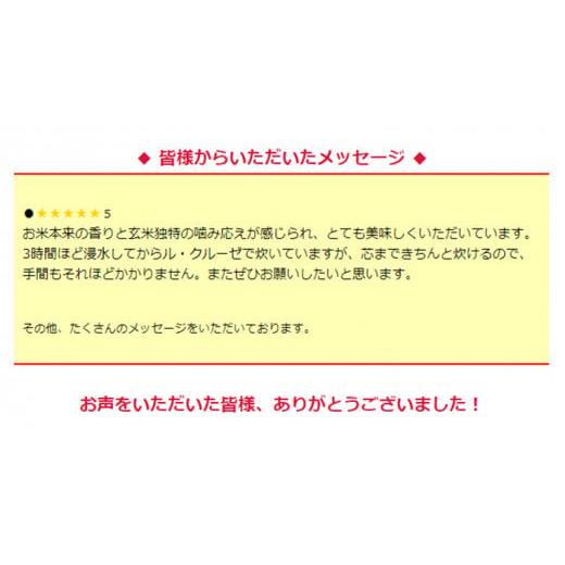 ふるさと納税 茨城県 つくばみらい市 ＜ 新米 ・ 令和5年産 ＞ 三百年続く農家の有機特別栽培 コシヒカリ 玄米 10kg) 有機栽培 農創 米 こめ …