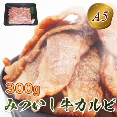 ふるさと納税 新ひだか町 北海道産 黒毛和牛 みついし牛 A5焼肉用カルビ300g