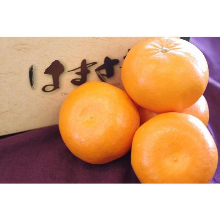 柑橘はまさき通信販売 佐賀オリジナルの麗紅柑を販売取寄。約8玉〜約12玉 佐賀県産