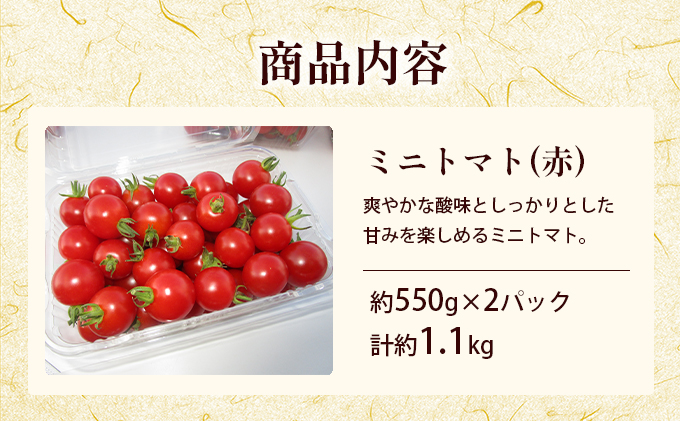  北海道 滝川市 産 ミニトマト (赤) 約1.1kg トマト 野菜 やさい みにとまと