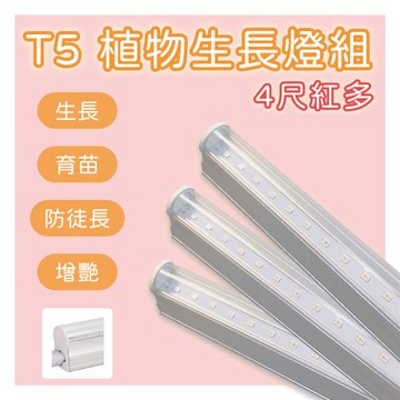 LED T5 植物生長燈 4尺 紅多 免支架 (3支一組)