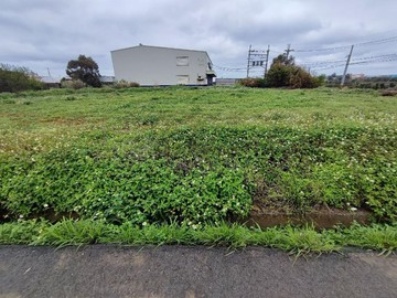 觀音區茄苳坑段八米六米雙面臨路農地｜桃園市觀音區兩座屋