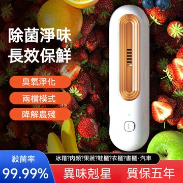 【超級除味大師】冰箱除味機 去味 冰箱保鮮 除味器 空氣凈化 除臭 殺菌 冰箱 除味凈化器 臭氧殺菌 去異味 除臭味