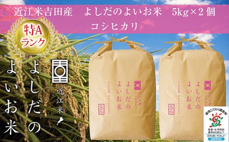 令和5年産新米　よしだのよいお米 近江米コシヒカリ5kg×2