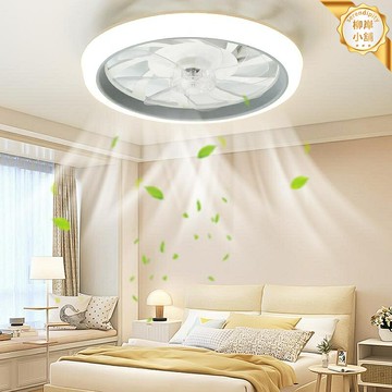 【靜音6檔無極調光】吊扇燈 吸頂燈 風扇燈 客廳燈 臥室燈 餐廳燈 現代簡約設計 110V電壓 三色調光 遙控操作 四季通用