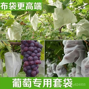 臺灣有貨⚡無紡布水果袋 自帶抽繩 葡萄水果套袋 防鳥防雨防蟲網袋 紗網袋 水果套袋 櫛瓜套袋雙拉繩 紗網袋 雪紗袋