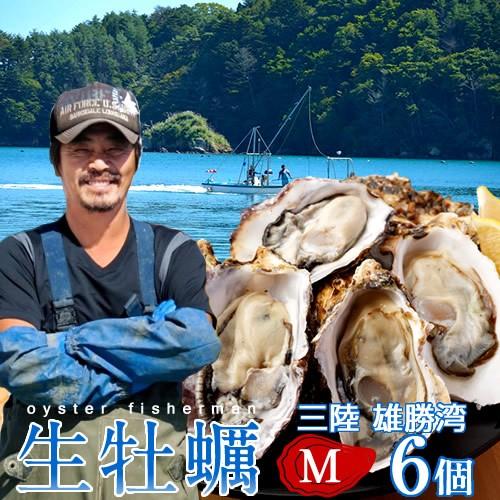 カキ 牡蠣 生牡蠣 殻付き M 6個 生食用 生ガキ 宮城県産 三陸漁師 格安 産地直送 お取り寄せ バーベキュー［お歳暮 2023 ギフト 魚 御歳暮］