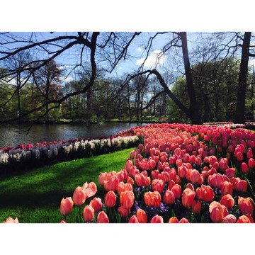 緩慢荷比法旅遊|期間限定花季庫肯霍夫花園.阿姆斯特丹．巴黎．羊角村．比利時私房小鎮．四遊船．加贈盧森堡公國12日_26EUAPCX2C