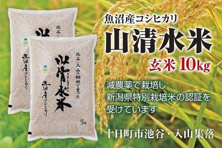 新潟県魚沼産コシヒカリ「山清水米」玄米10kg