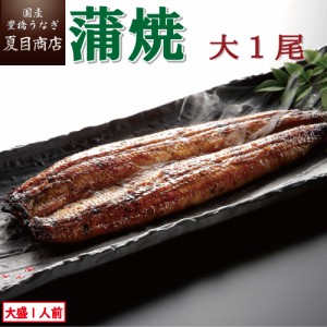 うなぎ 国産 蒲焼き 大155-180g×1尾 大盛1人前 豊橋うなぎ ウナギ 鰻 送料無料 お歳暮 クリスマス 誕生日 プレゼント 食べ物 真空パック