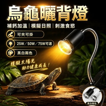⭐️現貨⭐️爬蟲|烏龜曬背燈 烏龜保暖夾燈 可調式保暖燈 兩棲夾燈 烏龜保暖雙頭夾燈 爬蟲保暖燈 取暖燈保暖燈 保暖燈座