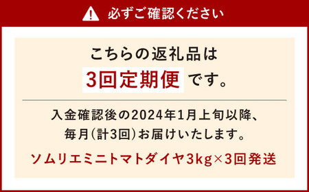 ソムリエ ミニ トマト ダイヤ 3kg×3回 合計9kg とまと トマト