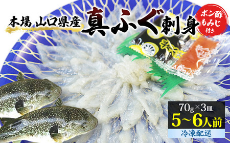 山口県産 真ふぐ 刺身 210g (70g×3皿)