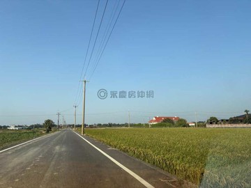 白河524坪｜方正特農｜臨路臨水渠 07426｜台南市白河區埤子頭