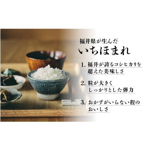 ふるさと納税 福井県 鯖江市 令和5年産 いちほまれ 10kg × 6回  計60kg （2月上旬、3月上旬、4月上旬、5月上旬、6月上旬、7月上…