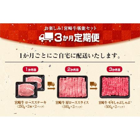 ふるさと納税 ≪3か月お楽しみ定期便≫宮崎牛堪能セット(合計3kg)　肉　牛　牛肉　国産 KC1-23 宮崎県日南市