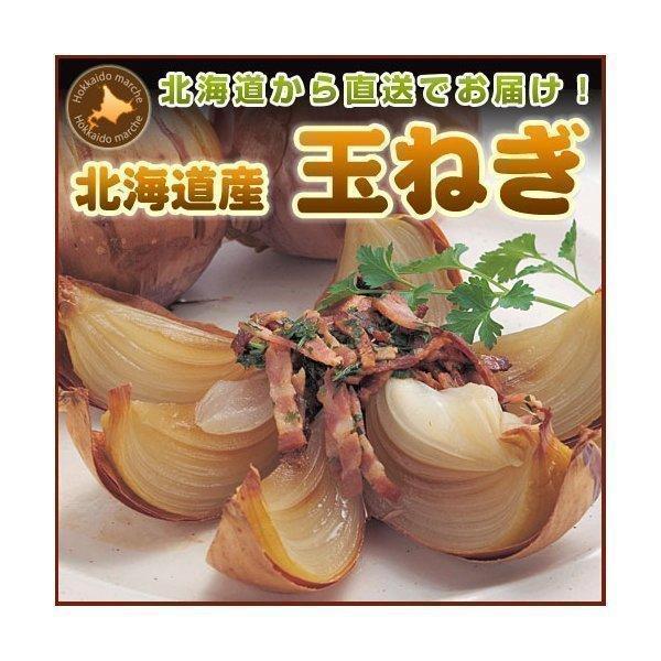 じゃがいも ジャガイモ じゃが玉セットＡ きたあかり LM L 2L 5kg 玉ねぎ 4kg （新じゃがいも） 野菜 北海道産 産直 内祝 北海道ギフト