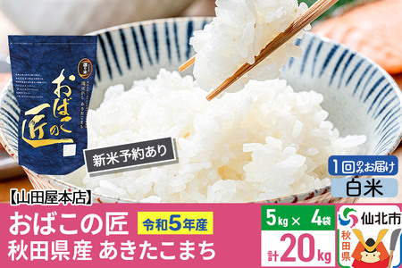 令和5年産 仙北市産 新米予約 おばこの匠 20kg（5kg×4袋）秋田県産あきたこまち 秋田こまち