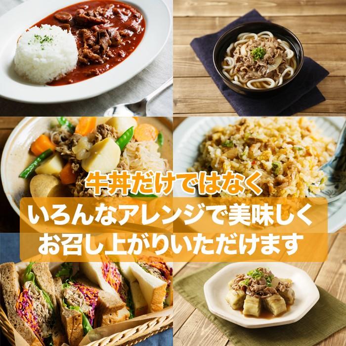 吉野家 牛丼 ミニ 10食セット 冷凍 牛丼の具 吉牛 レトルト 新生活応援 小盛