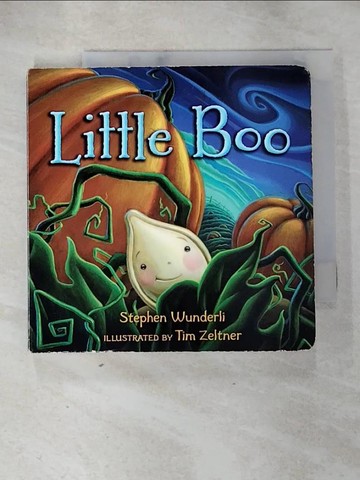 【書寶二手書T5／少年童書_HM1】Little Boo_Wunderli, Stephen/ Zeltner, Tim (ILT)
