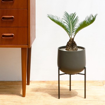 KINTO PLANT POT 211 附架陶瓷花盆 16cm 深灰