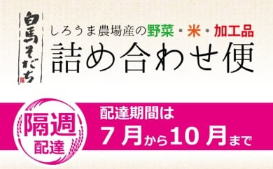 白馬そだち（旬の野菜・米・加工品）詰合せ便（全9回）7月から10月隔週お届け