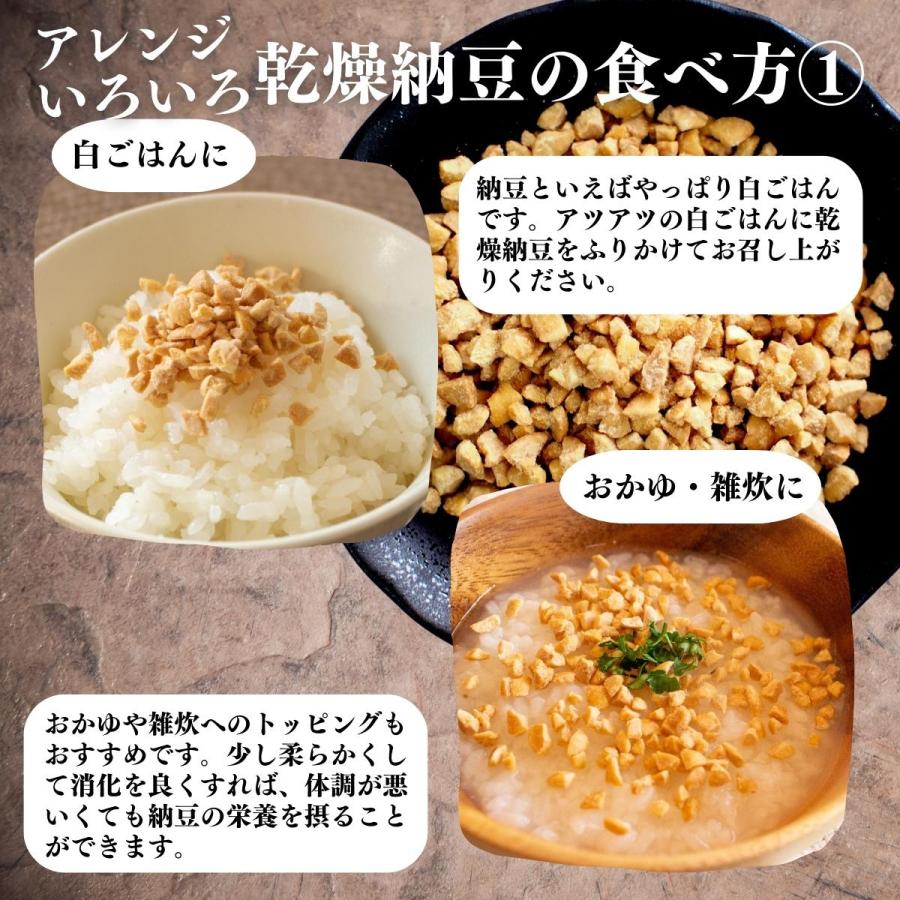 乾燥納豆 100g×3個 ドライ納豆 ひきわり納豆 無添加 犬 国産