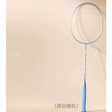 🏸球拍 成人球拍 兒童球拍 羽毛球拍 羽球拍 訓練球拍