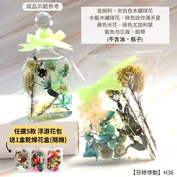 【A-ONE】浮游花DIY花卉包 DIY天然乾燥花 綜合乾燥花 浮游花 浮油花 植物果實 木繡球花 H36芬綠悸動_廠商直送