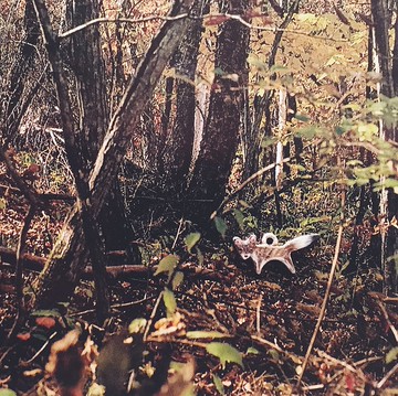 手繪墜子 - 貂 / martes melampus / フェレット