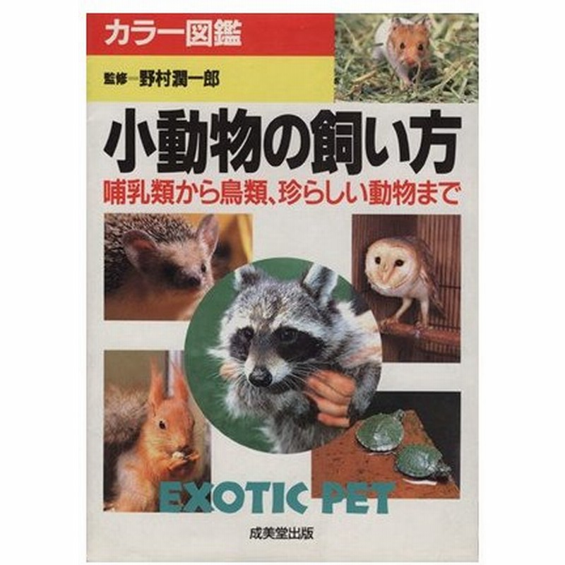 小動物の飼い方 哺乳類から鳥類 珍しい動物まで カラー図鑑 ペット 通販 Lineポイント最大0 5 Get Lineショッピング