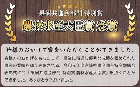 AD-AB2 農林水産大臣賞受賞農園！ふるやさんちの温室せとか＜秀品＞(約3kg・8～12玉入)化粧箱入