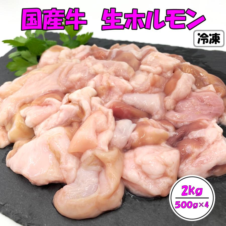 国産ホルモン 国産牛 生ホルモン 2kg 牛ホルモン 1kg×2 焼肉 もつ鍋 モツ鍋 牛モツ ミックスホルモン 冷凍 送料無料 国産牛ミックスホルモン2kg