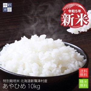 新米 特別栽培米 減農薬栽培米 玄米 米  北海道産 あやひめ 10kg 特別栽培米（節減対象農薬7割減・化学肥料5割減） 新篠津村【生産者 井