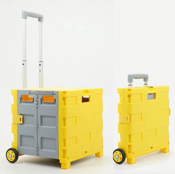 拉杆箱兩輪買菜車摺疊收納箱家用購物車周轉搬運移動小推車露營車