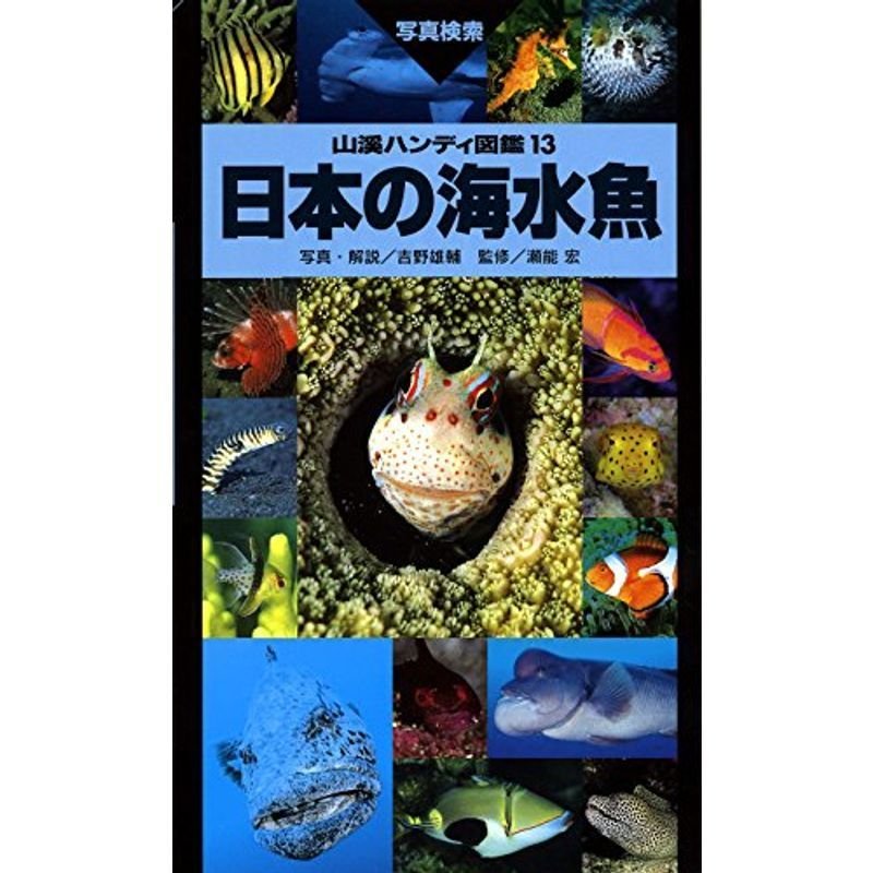 日本の海水魚 (山溪ハンディ図鑑)