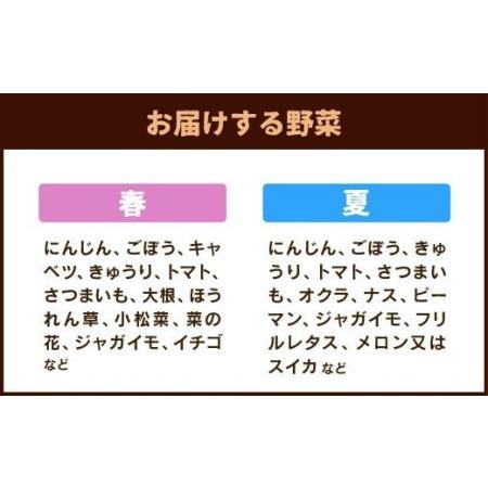 ふるさと納税 菊陽町特産品 「野菜・果物などの詰め合わせ」  熊本県菊陽町