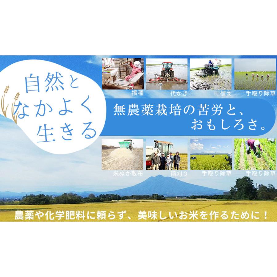 農薬不使用 無農薬 米 青森県産 つがるロマン 幸の米農園  2023年度産[※SP]