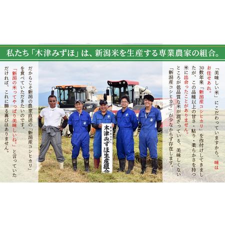 ふるさと納税 新潟産コシヒカリ精米15kg真空パック（11か月定期配送） 米 定期便 11ヶ月 コシヒカリ 精米 白米 コメ こめ お米 おこめ 15kg こし.. 新潟県新潟市