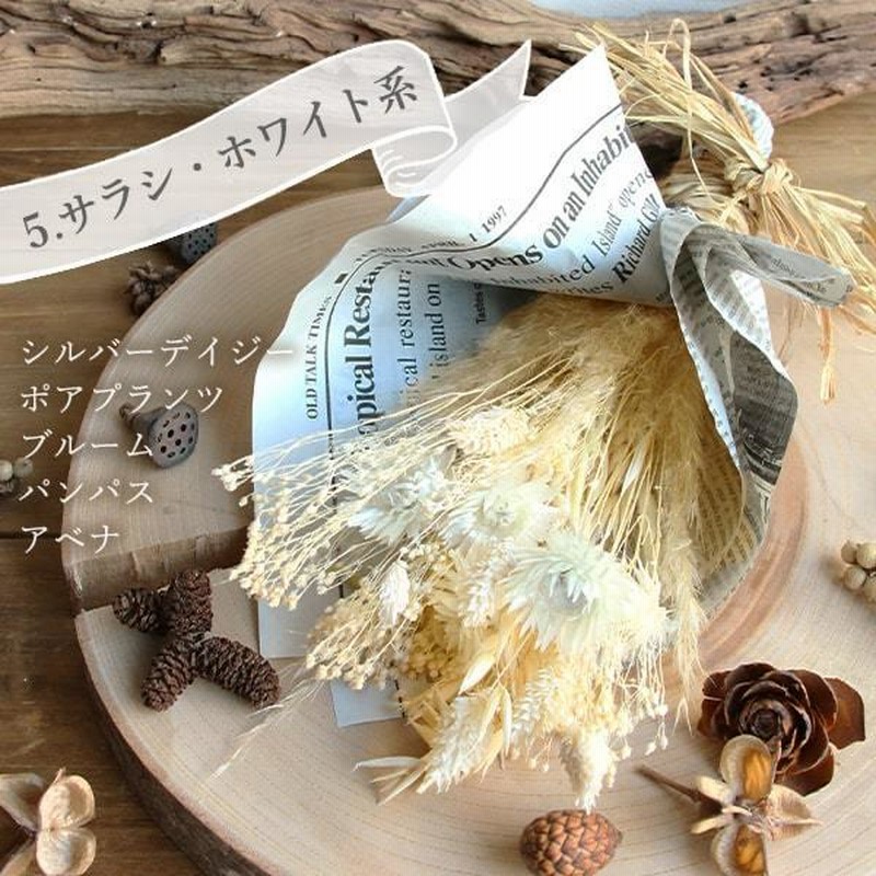 ドライフラワー～カワラハハコ ドライフラワー hanahana 通販