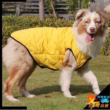 【台灣出貨】寵物衣服 潮牌 中大型犬 狗狗秋冬棉衣 邊牧 金毛 拉布拉多 防水馬甲 狗狗衣服 寵物服飾