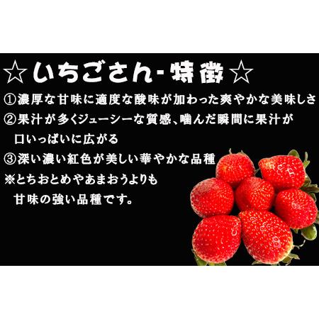 ふるさと納税 『予約受付』唐津産 いちごさん 250g×6パック(合計1.5kg) 濃厚いちご 苺 イチゴ 果物 フルー.. 佐賀県唐津市