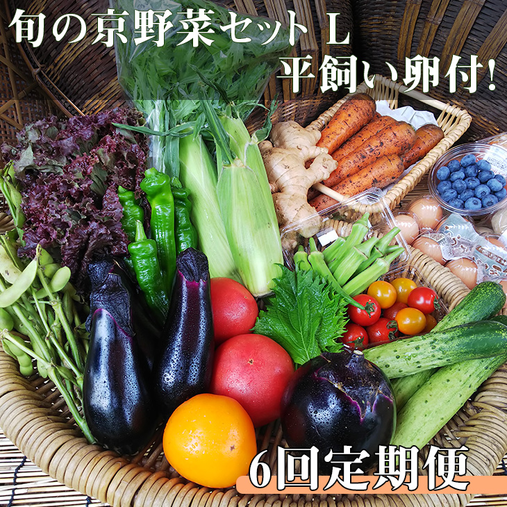 ＜アスカ有機農園＞旬の京野菜セットS＊毎月お届け全6回