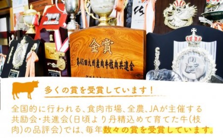  佐賀牛 ロース ステーキ 200g[NAB003] 佐賀牛 牛肉 肉 佐賀 黒毛和牛 佐賀牛A4 佐賀牛a4 牛肉A4 牛肉a4 佐賀牛ステーキ 牛肉ステーキ 佐賀牛焼肉 牛肉焼肉 佐賀牛焼き肉 牛肉焼き肉 佐賀牛BBQ 牛肉BBQ 佐賀牛ロース 牛肉ロース アウトドア 年内発送