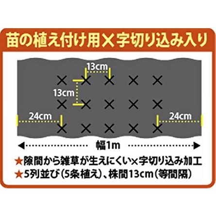 不織布マルチ　たまねぎ名人　幅1m×長さ10m　規格1513